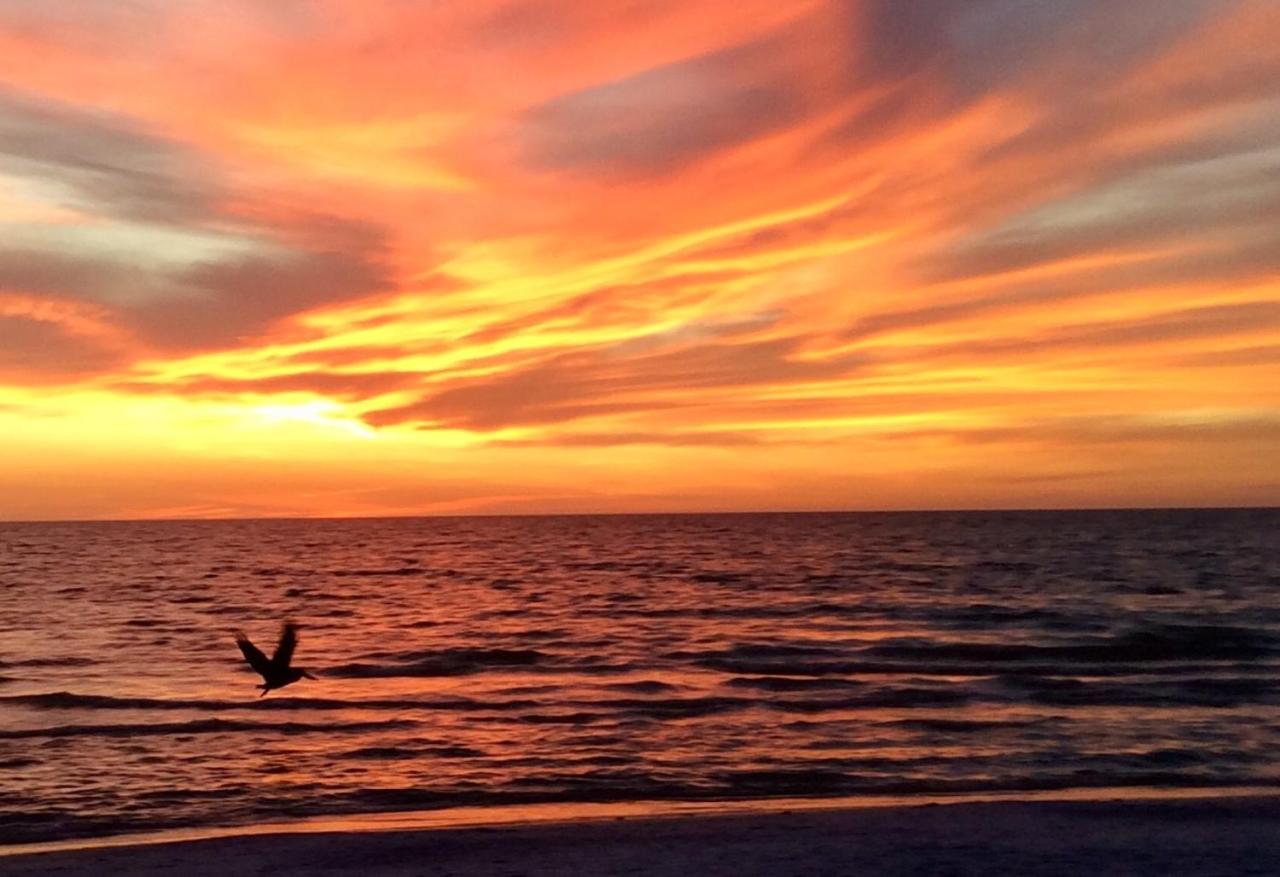 Carousel Beach Inn Fort Myers Beach Eksteriør bilde
